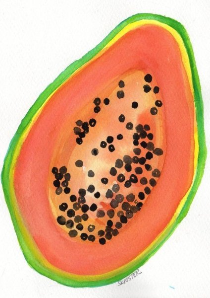 Папайя акварель