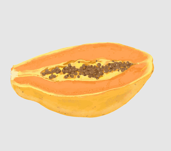 Папайя для фотошоп