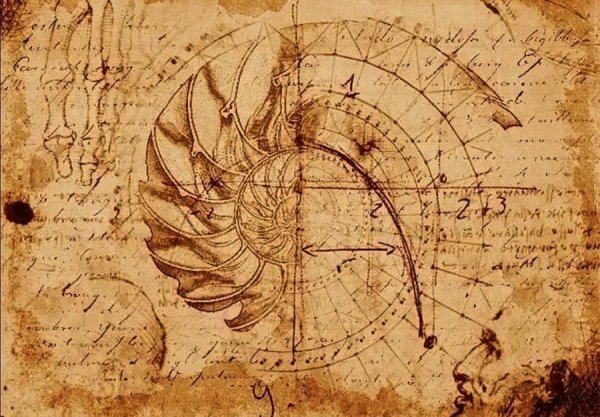 Леонардо да Винчи автопортрет 1512