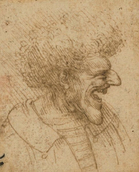 Шово с. Леонардо да Винчи