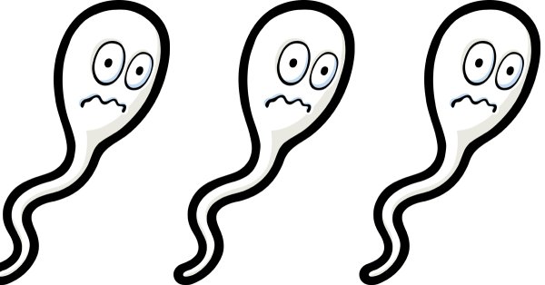 Сперматозоид нарисованный