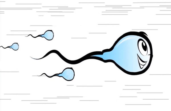 Сперматозоид мультяшный