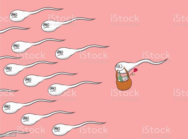 Сперматозоид мультяшный