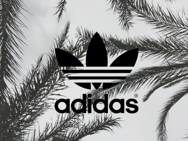 Adidas на черном фоне