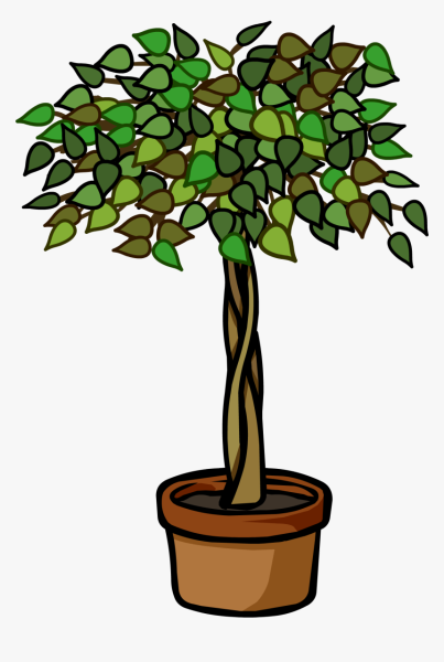 Фикус мультяшный