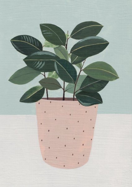 Фикус нарисовать