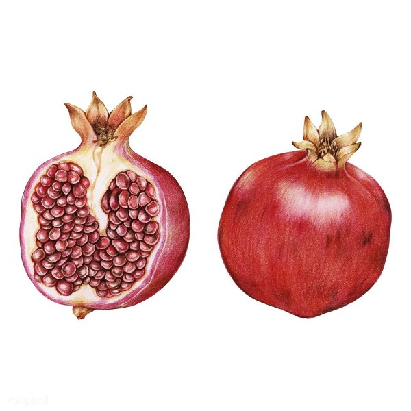 Гранат рисунок