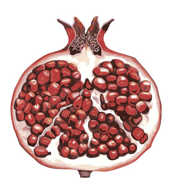 Гранат в разрезе