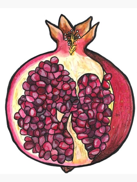Гранат зарисовка
