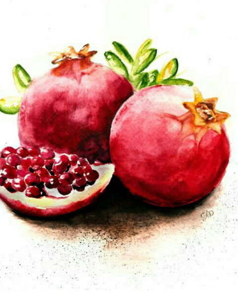Гранат акварелью