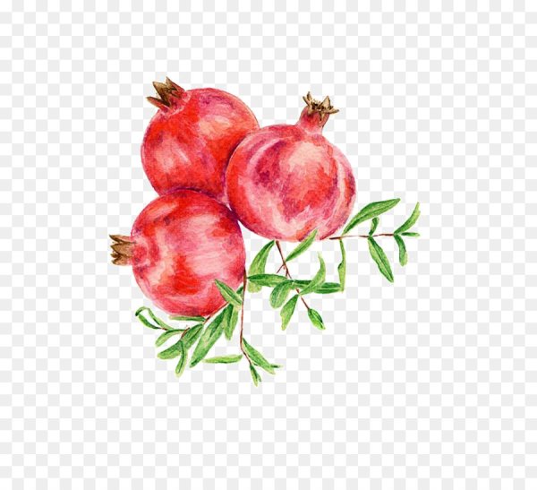 Нарисовать гранат