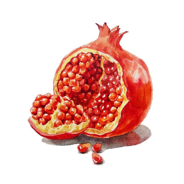 Гранат фрукт арт