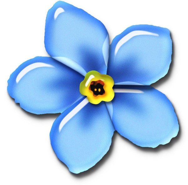 Цветочки без фона