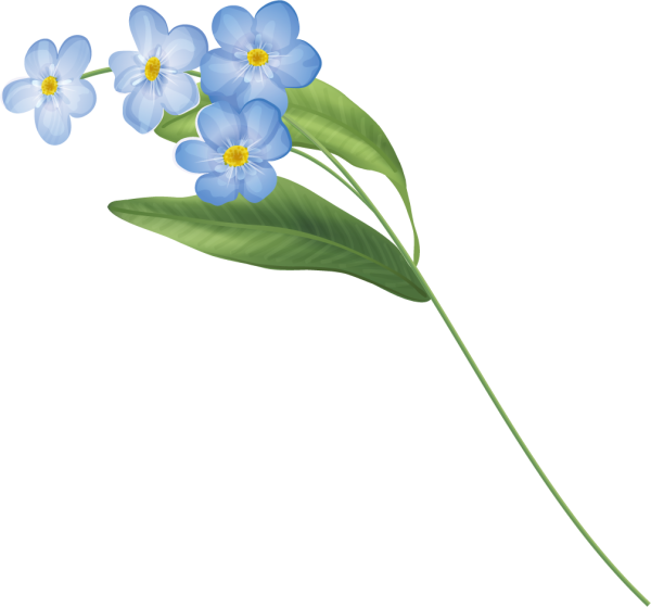 Веточка незабудки