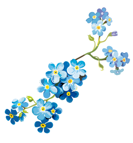 Незабудки орнамент