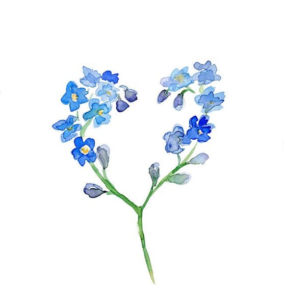 Веточка незабудки