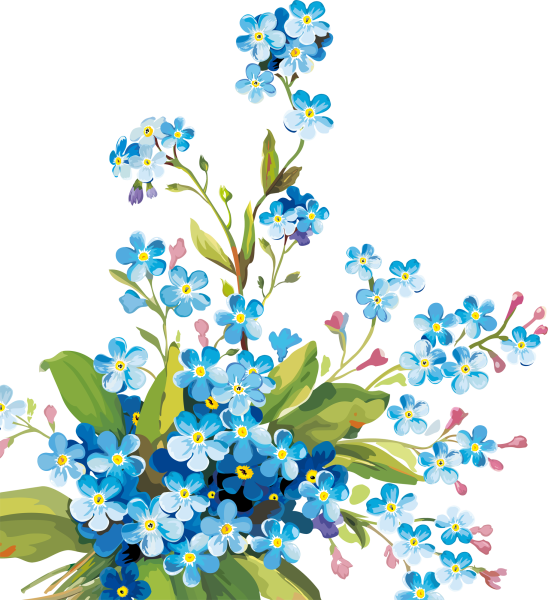 Незабудки на прозрачном фоне