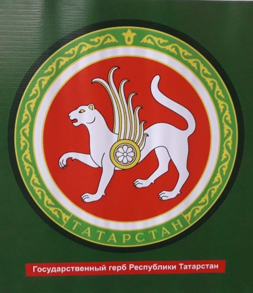 Республика Татарстан (Татарстан) герб
