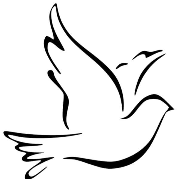 Силуэт голубя белый