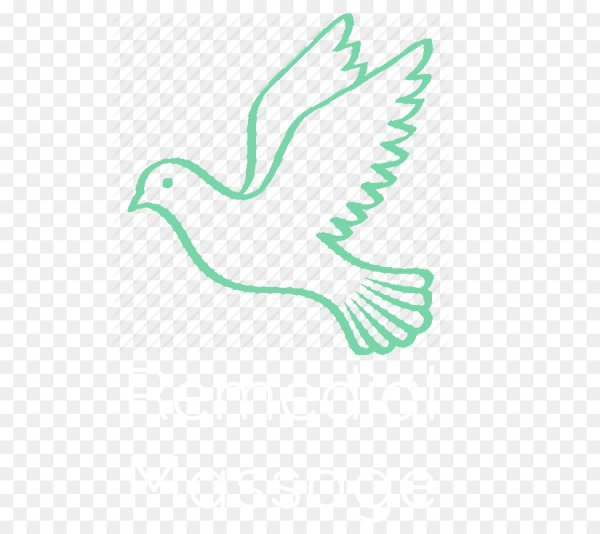 Белый голубь символ