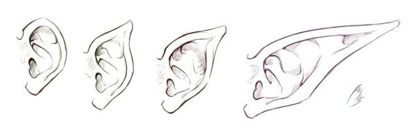 Референсы ушей эльфов