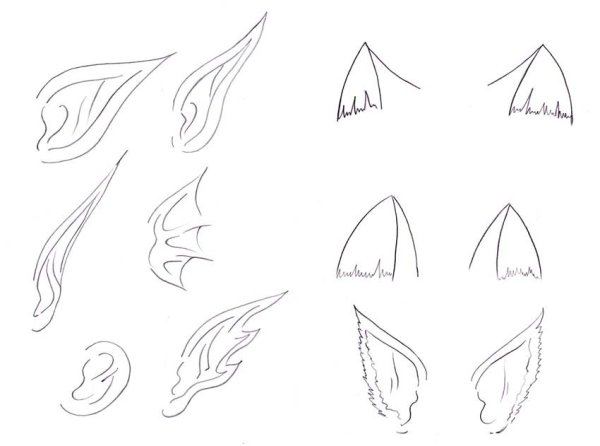 Ушки эльфа Озон