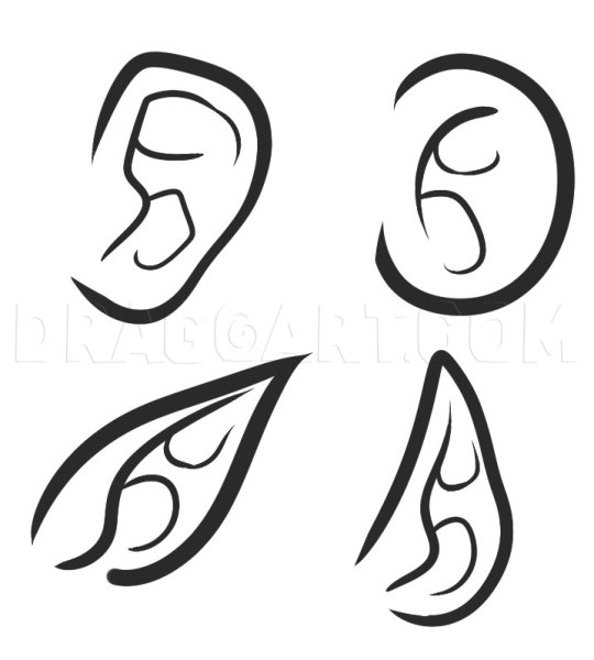 Уши эльфа референс