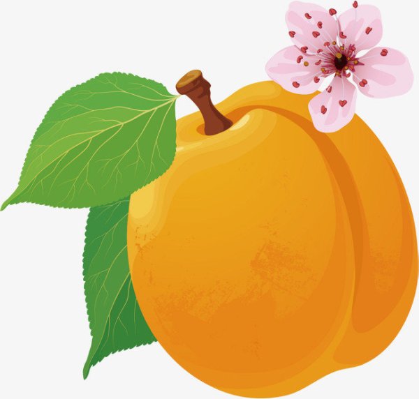 Абрикос мультяшное