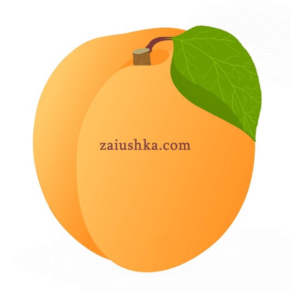 Абрикос без фона