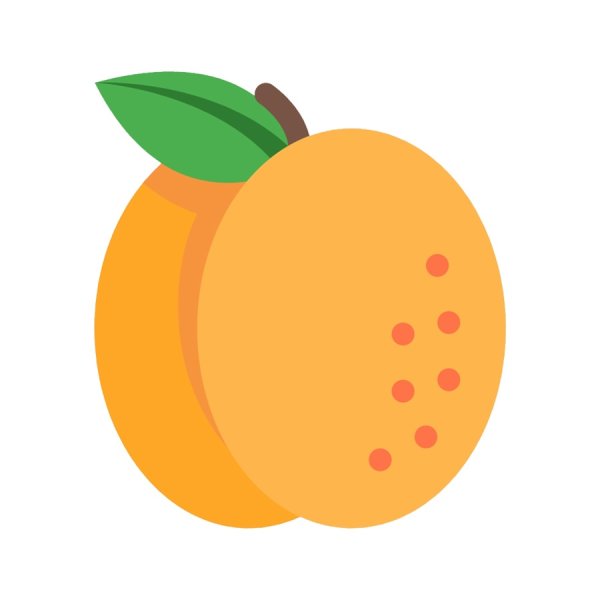 Абрикос вектор