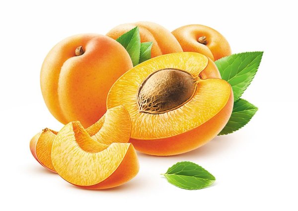 Картина абрикос для детей