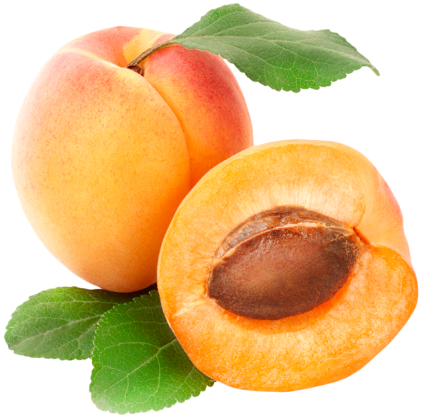 Абрикос плод