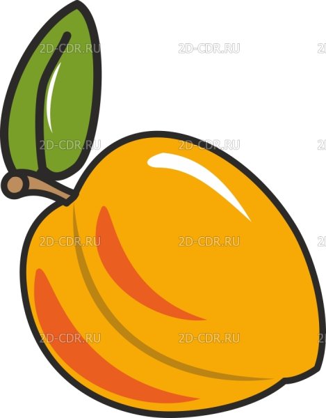 Абрикос нарисовать