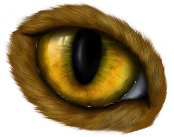 Нарисовать кошачий глаз