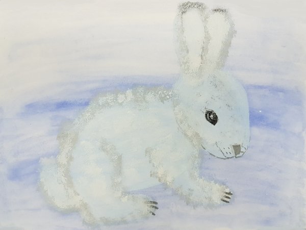 Заяц Беляк рисунок для детей