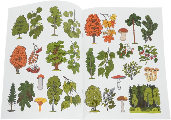 Деревья и кустарники для детей