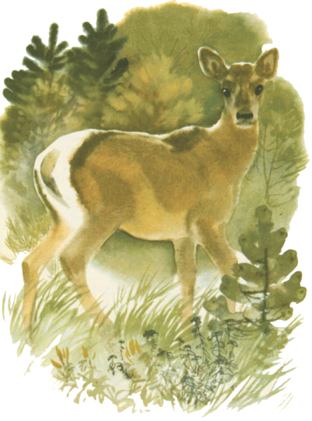 Мамина сидеряка"Емеля охотник"