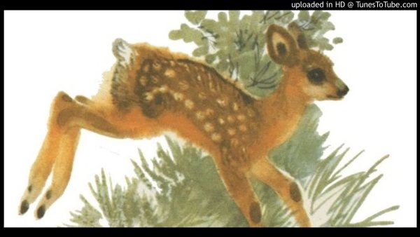 Д мамин Сибиряк Емеля охотник