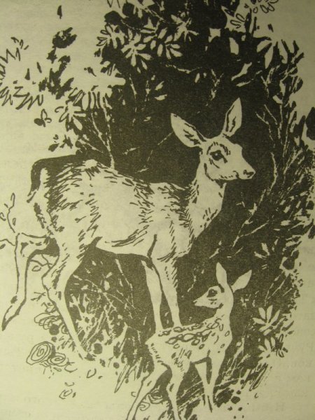 Д мамин Сибиряк Емеля охотник