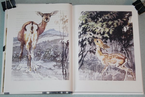 Рассказ Емеля охотник мамин Сибиряк