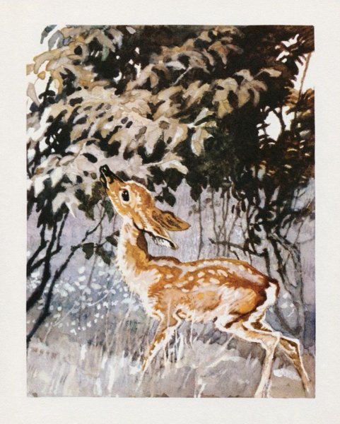 Емеля-охотник мамин-Сибиряк