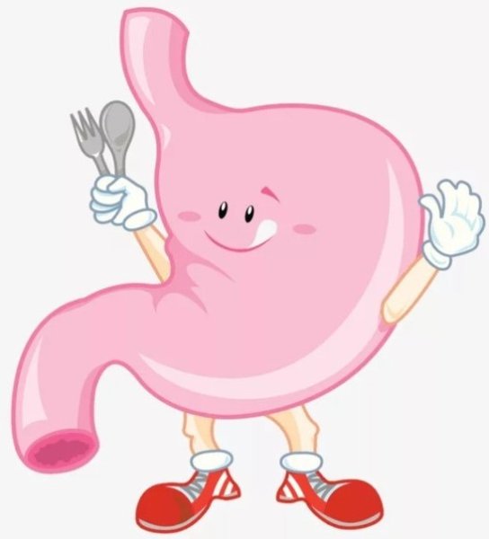 Желудок мультяшный