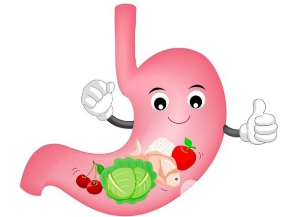 Здоровый желудок