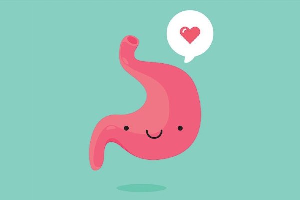 Кишечник и мозг