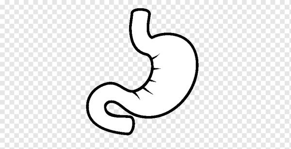 Желудок пиктограмма