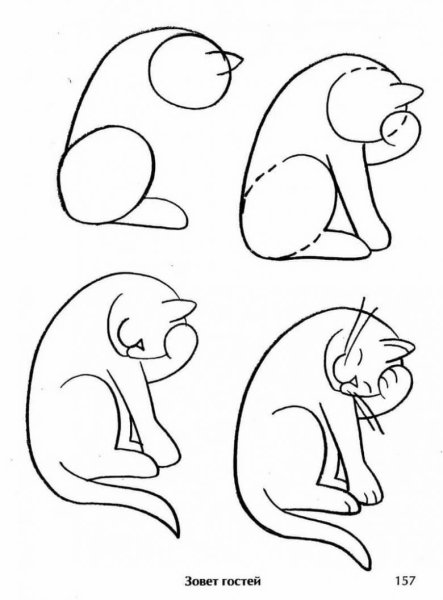 Поэтапное рисование животных