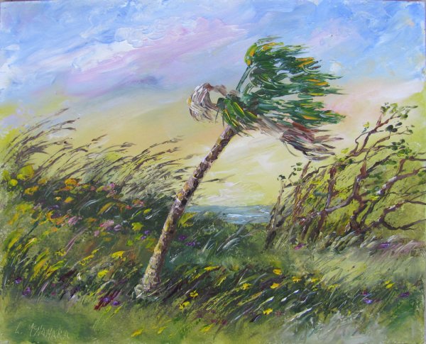 Ветер иллюстрация