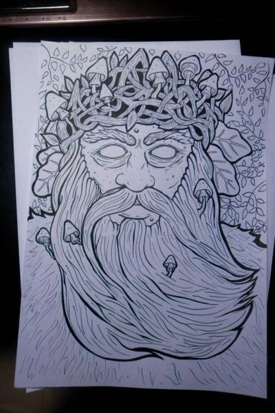 Боровичок старичок Боровичок