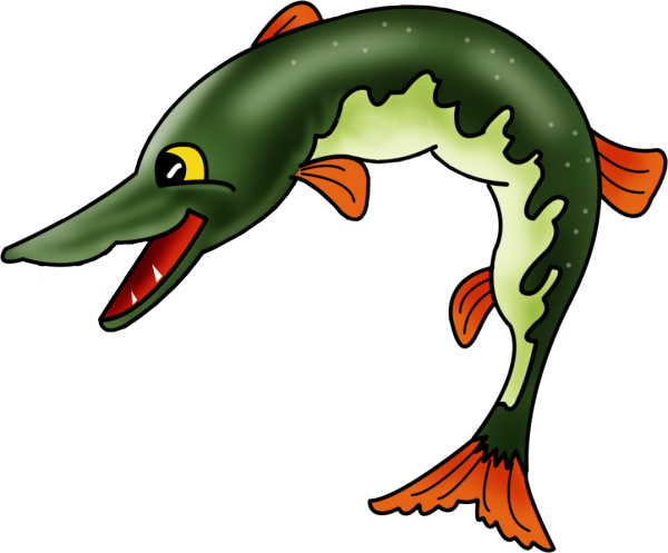 Щука на белом фоне