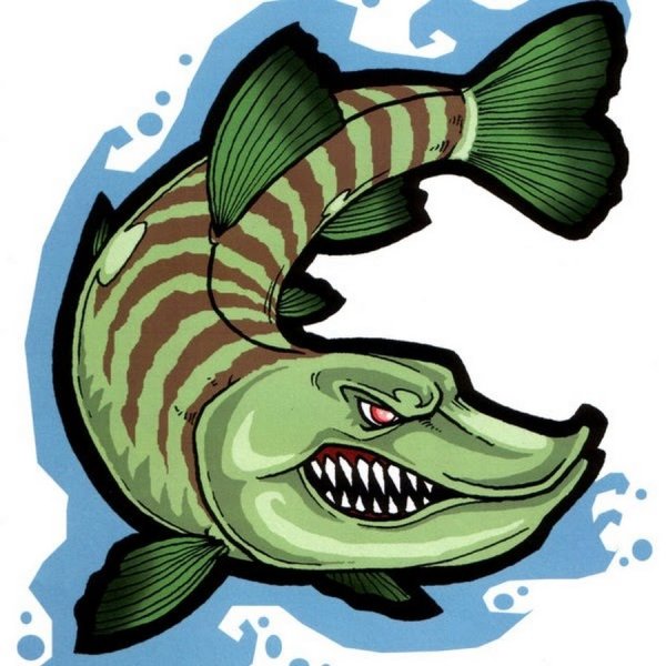 Щука на белом фоне